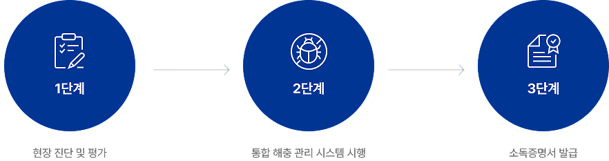 진행